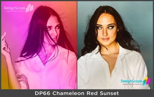 Chameleon Red Sunset