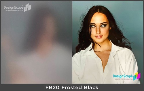 Frosted Black 20%
