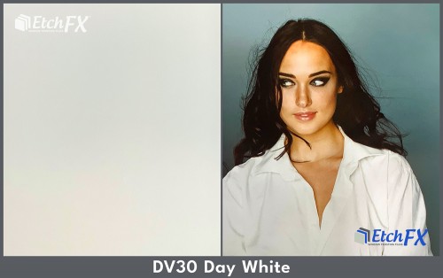 DayWhite RMS (DV30)